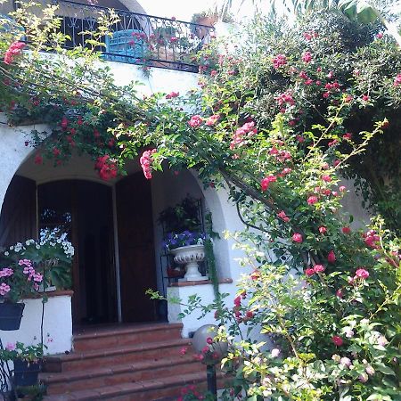 B&B Villa Piera Montecucco Stintino Exteriér fotografie