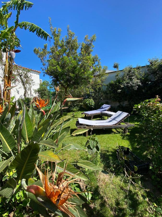 B&B Villa Piera Montecucco Stintino Exteriér fotografie