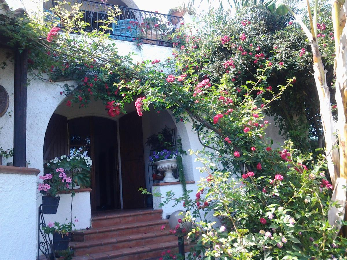 B&B Villa Piera Montecucco Stintino Exteriér fotografie